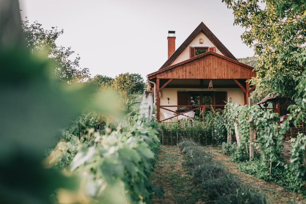 Szent György Cottage Hegymagas Kültér fotó